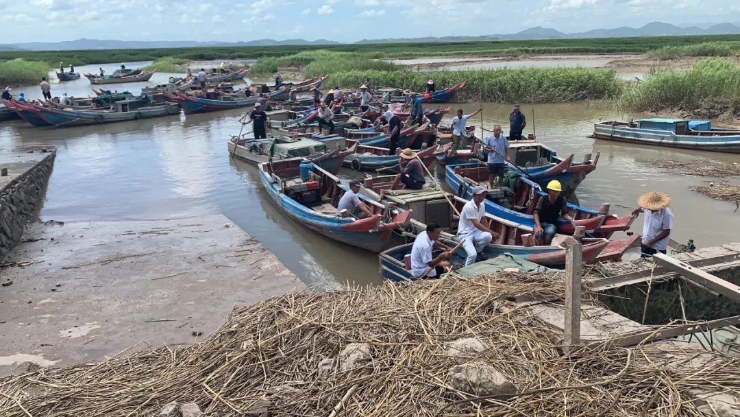 乐清日报|12级！“黑格比”再升级！乐清这7个乡镇需重点关注！最大可能登陆温州沿海