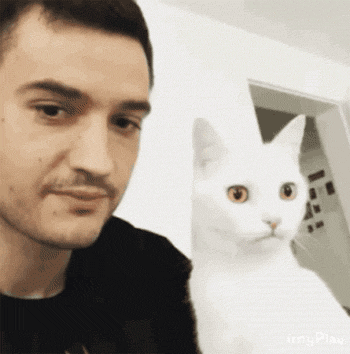 70%的猫咪更喜欢女性？一文告诉你真正原因，从此拥有吸猫体质