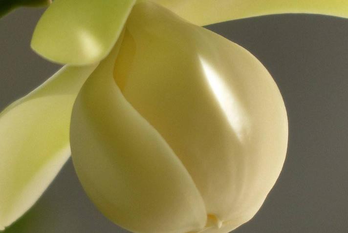 运势|八月开始,运势攀升,财源翻番涨,财富如雨的生肖