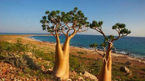 百慕大三角@世界十大最神秘的地方 连科学都解释不了