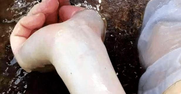 『日本』日本“水中少女”图有多狠?当放大10倍看,网友:不愧是日本!