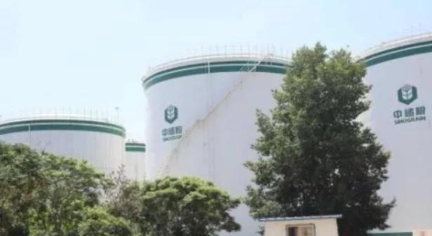 大米|一夜之间，糟蹋粮食的大胃王吃播全凉了