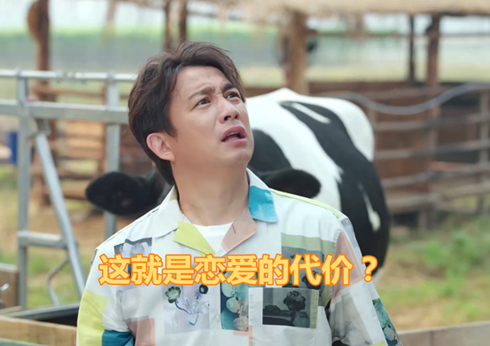 彭昱畅▲《向往的生活》彭昱畅兄妹逗孔雀,网友:果然恋爱的人智商会下降