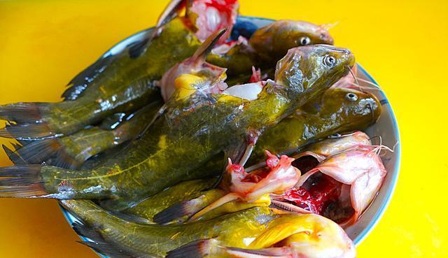 平菇|秋天,吃这鱼正是时候,和平菇一起炖,汤可不要太鲜美哟