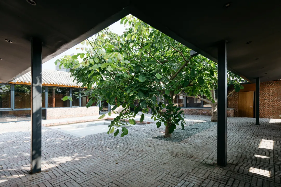 莫兰迪|亢院 | 一方小院，两颗核桃树，在学霸设计师的院子里，来一场亢奋的狂欢