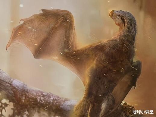 科学家|比鸡还矬的翼龙？飞行领域里，科学家发现了自然进化的失败作品