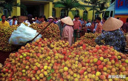 #越南#越南禁止出口大米,致国际粮价飙高,网友:那我们不吃越南水果了