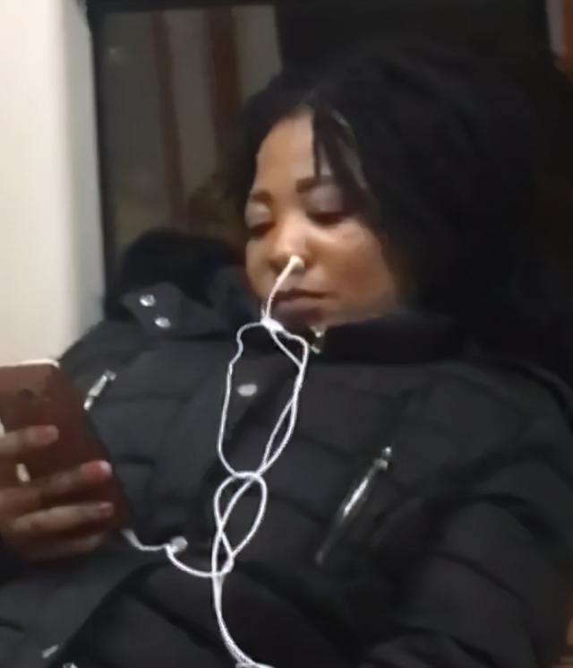 InsDaily|纽约地铁禁止带狗，但允许沙雕进入，于是奇怪的事情发生了……