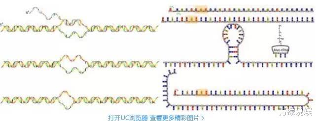 『基因』钟南山院士称新冠病毒基因已突变, 传播方式可能增加，或许会重新席卷而来