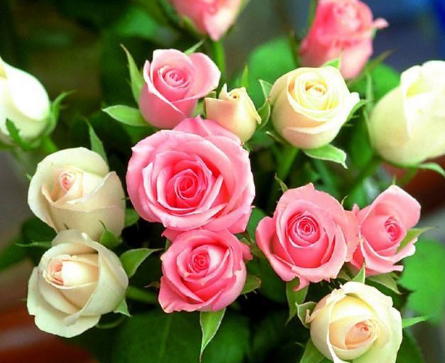 [生肖]婚后日子越过越富，有少奶奶命的三大生肖女