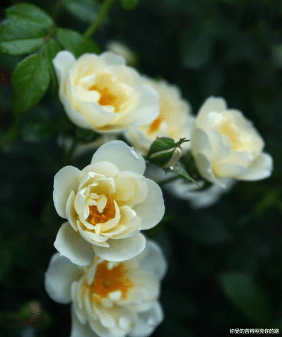 @未来10天,4属相六六大顺,横财大发特发,事业如鱼得水