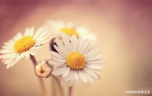 迪丽热巴|真正厉害的人，从不参与同事组织的这三件事，谁掺和谁倒霉！现实