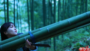 李子柒|李子柒被抄袭第400天:我花2年拍的视频,被你用5分钟占为己有