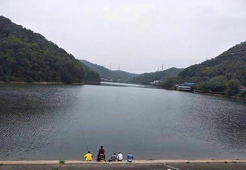 #鲫鱼#关于钓鱼的一些细节问题,需要注意什么