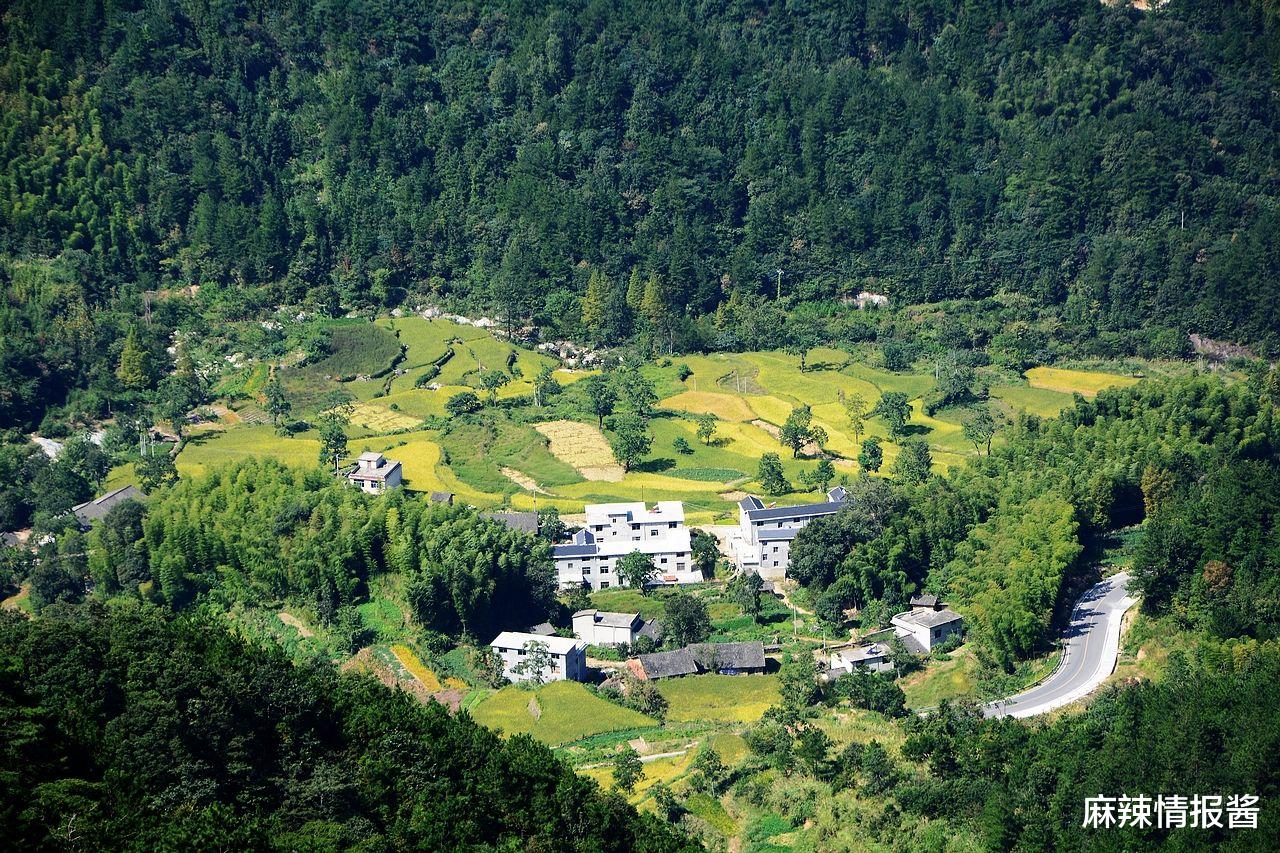 『天堂寨』被称为“华东最后一片原始森林”的景区，100元玩两天，还是5A级