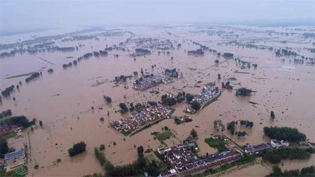 |中国1983年蛇灾是怎么回事？揭秘关于1983年中国蛇灾始末