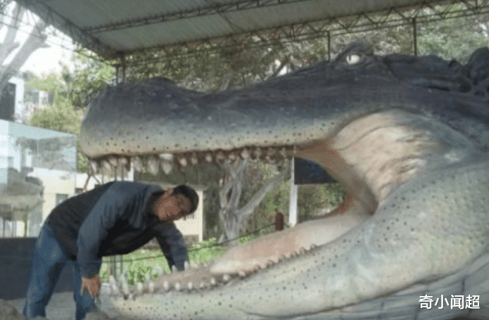 恐龙:这几种史前巨大的野兽,你会庆幸多亏它们灭绝了,第一个随便就能吞个人