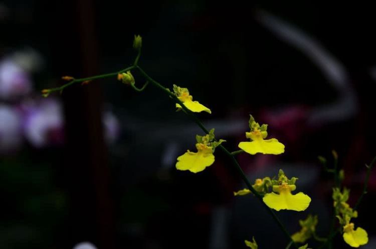 运势|8月中旬开始事业腾达，运势提前回升，翻身赚大钱的四大生肖