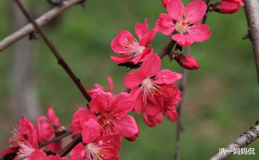 [运势]6月30号运势扭转乾坤，3生肖贵人出现，日子顺风顺水，有钱花