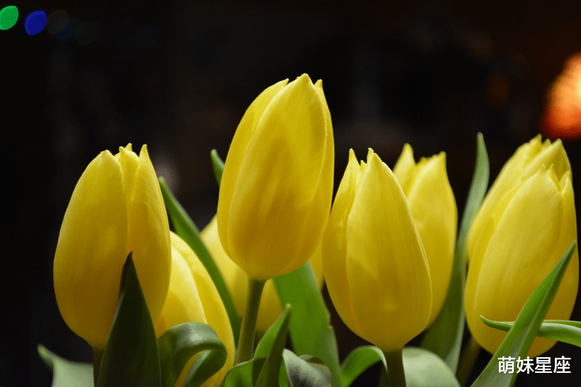 天蝎座|11月中旬，桃花盛放，兜兜转转遇真爱的四大星座，好事不怕晚！