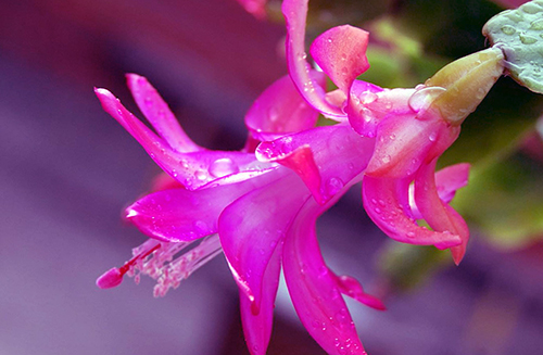 处女座|2020下半年，心存善念，福报显现的三个星座