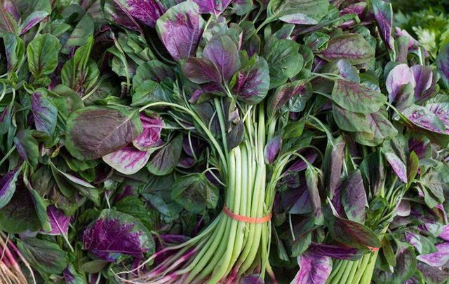 野菜■七月碰到这菜别手软,直接囤20斤,放冰箱随吃随取,很多人不识货