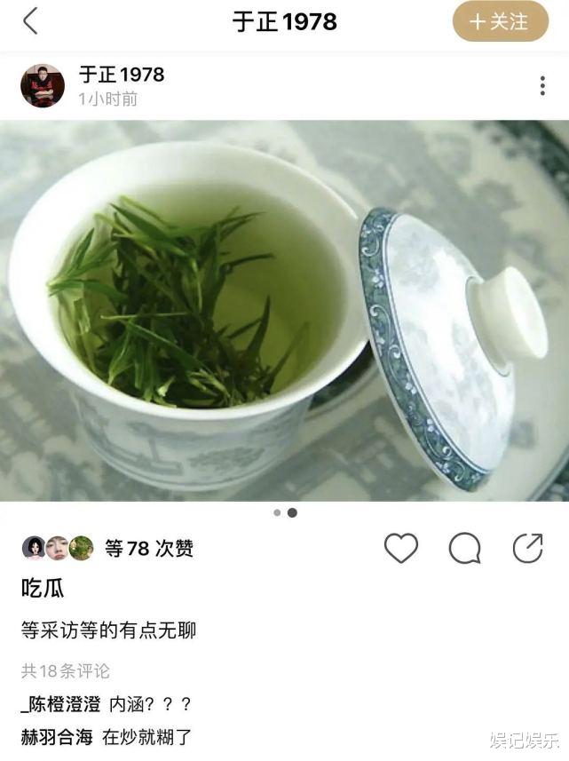 趙露思好友發文上熱搜，於正曬綠色茶表示“吃瓜”，網友評論熱鬧-圖7