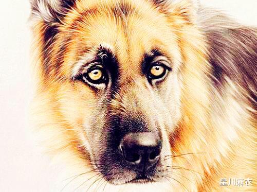 生肖|8月中旬，好运开门红，赚大钱，事业顺顺的3生肖，旺气势不可挡