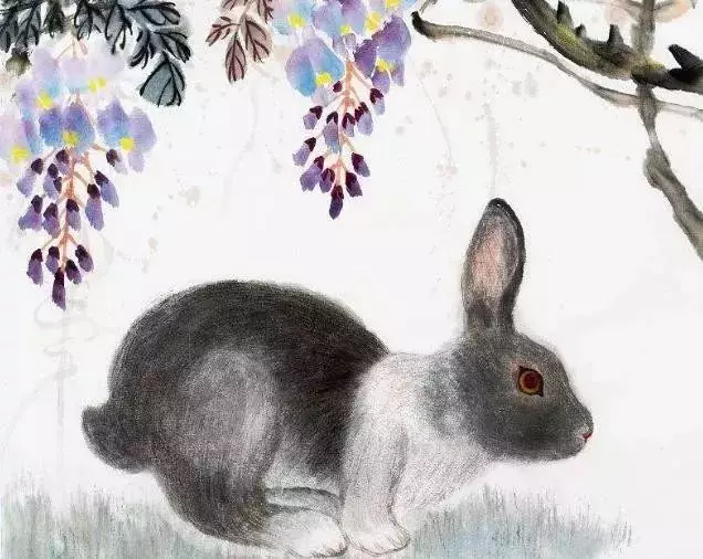 金牛座:兔兔兔,3月底家里“有点事”了,一切都是天命!