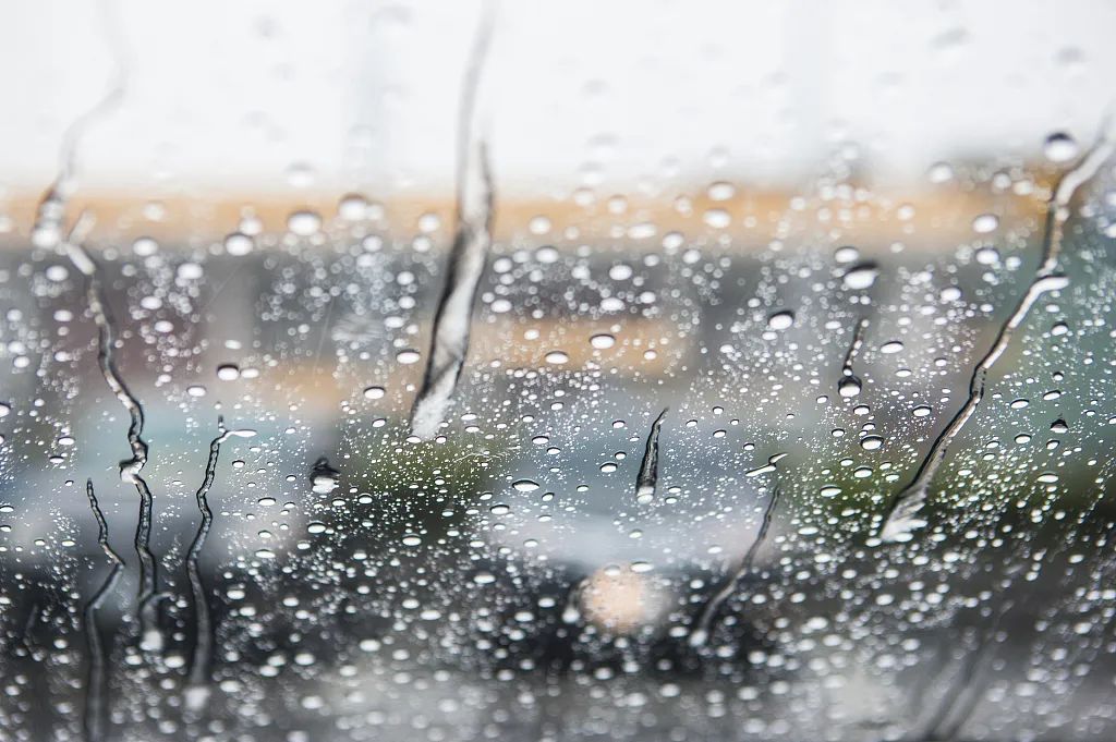 台风|台风巴威已登陆！丹东启动防台风Ⅰ级响应！沈阳这场雨预计停止在……