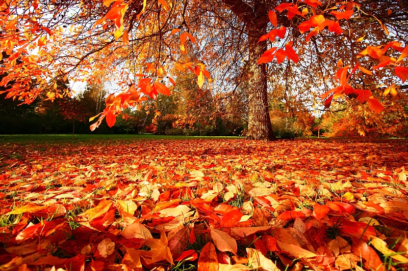 笠翁话农村|今日秋分｜100多年不遇的秋分提前，对生活和农业有什么影响吗？