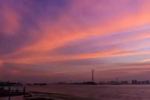 运势|猫巫占卜星座周运2020年8.3-8.9：怀揣着憧憬，踏实规划未来