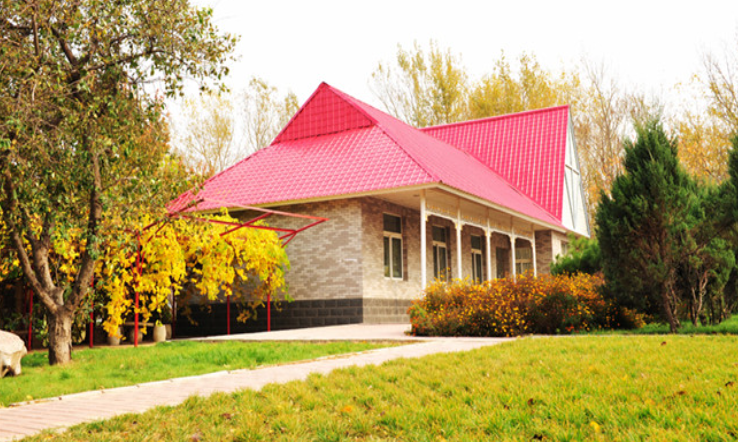 「吉林师范大学」改名最成功的大学，改名字后，从寂寂无名的专科，变成重本大学！