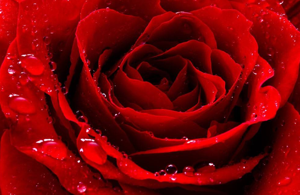 「天蝎座」6月下旬，横财入宅，3大属相吉运相随，贵人驾临，财富延绵