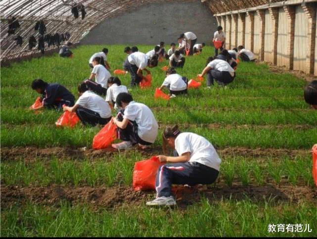 #高考#教育部“最新”通知:高中课程改革方案来了!学生恨不得早出生!