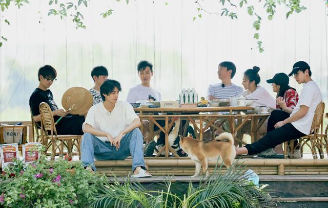 『谭松韵』《向往的生活》任嘉伦谭松韵合体“撒糖”，一个原因让节目获好评