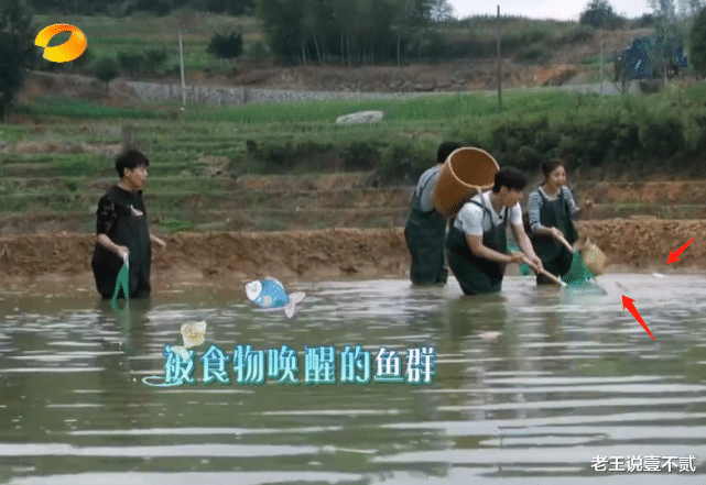 邢晗铭|《向往的生活》多被次批穿帮造假，替身做饭，导演10字说出真相！