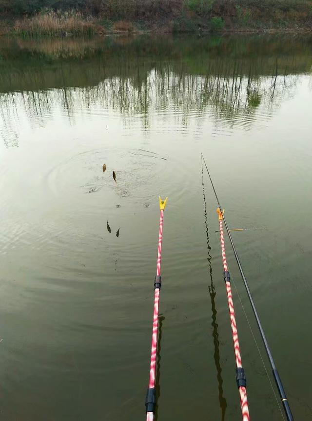 |10元浮漂与100元浮漂区别大吗，野钓时哪个表现会更出色呢