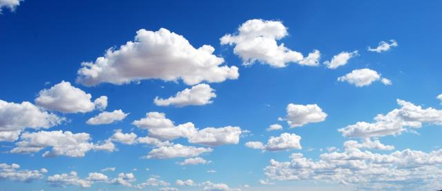 生肖|11月下旬，爱有多心累，就有多难忘，痛苦是你，幸福甜蜜也是你