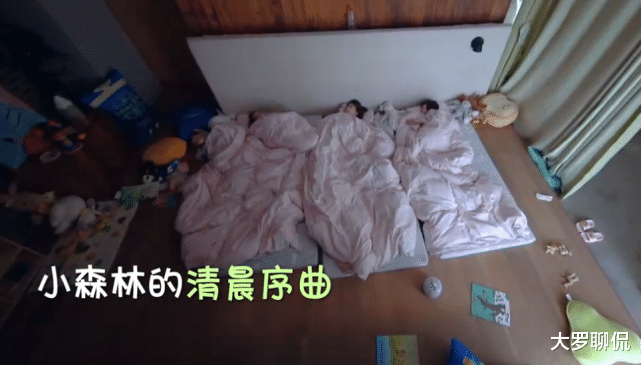 郑爽|谭松韵郑爽早起全部“素颜”，当镜头照到两人正脸，差距出来了