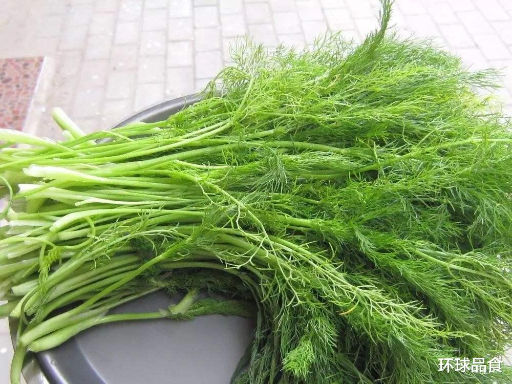 食盐|湿气最怕这道菜,隔三差五吃,湿气没了,身体更轻松了