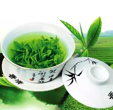 绿茶@茶叶是个宝，不喝不知道