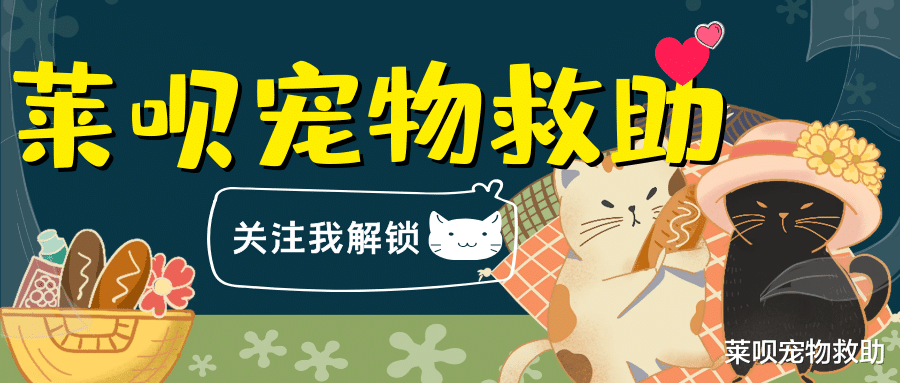 狂犬病|狂犬病一旦发作100%死亡？华农大学科学家研究表明：不存在了