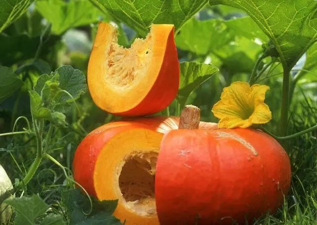 「睡眠」39岁女白领，查出胃癌，提醒：一种“水”喝太多了，引起重视