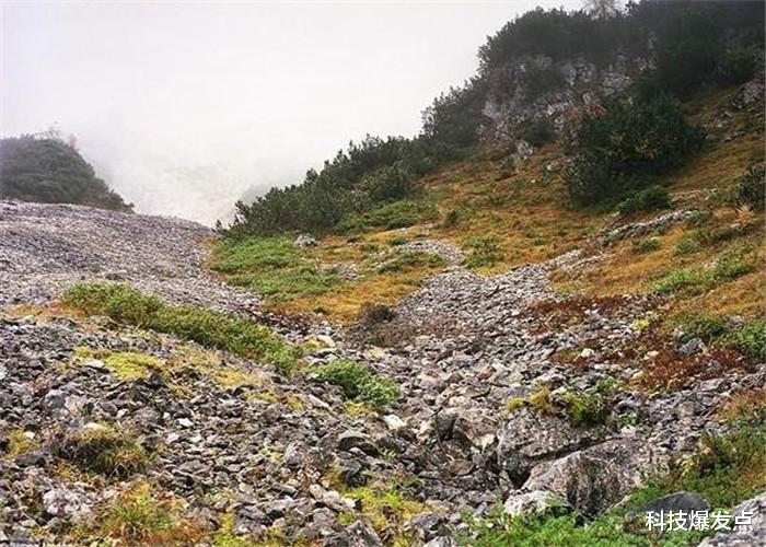 ▲右脑极度发达的人，才能看到图片中的物体，考考你的眼力！