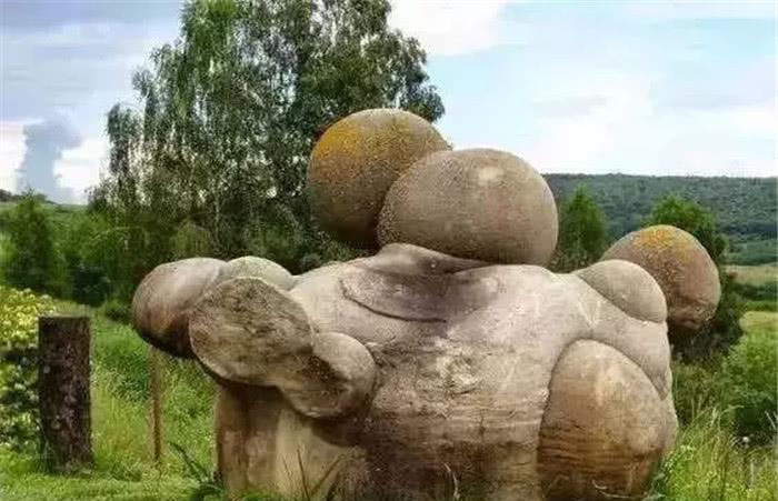 『隔离』“会逃跑”的石头，会喝水长大，科学家切开之后发现端倪！