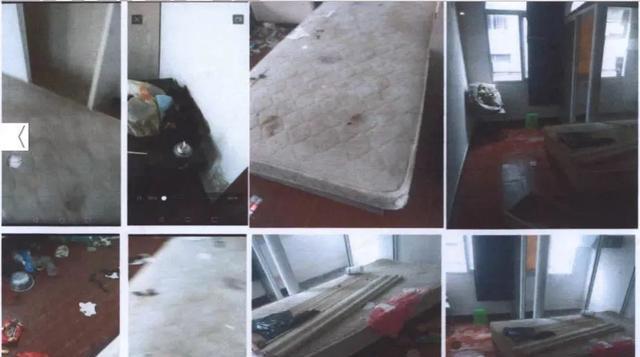 【95后】95后姑娘带着2条狗租房,屋里传来恶臭!房东将她告上了法庭