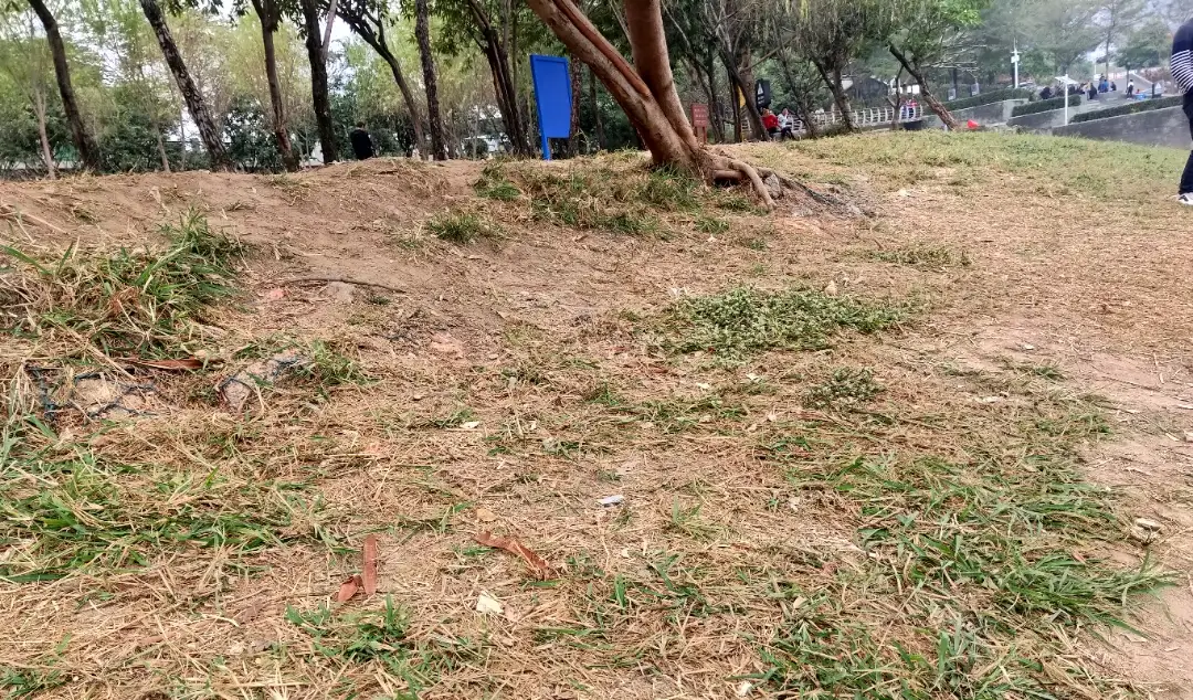 长江|深圳污染企业搬走了：河水变得更加清澈了，成为了人们休闲垂钓的好地方