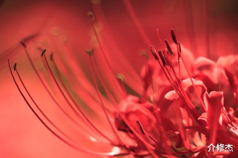 生肖@七月初期，情缘难忍相思，相遇猝不及防，爱情等候多时的4大生肖