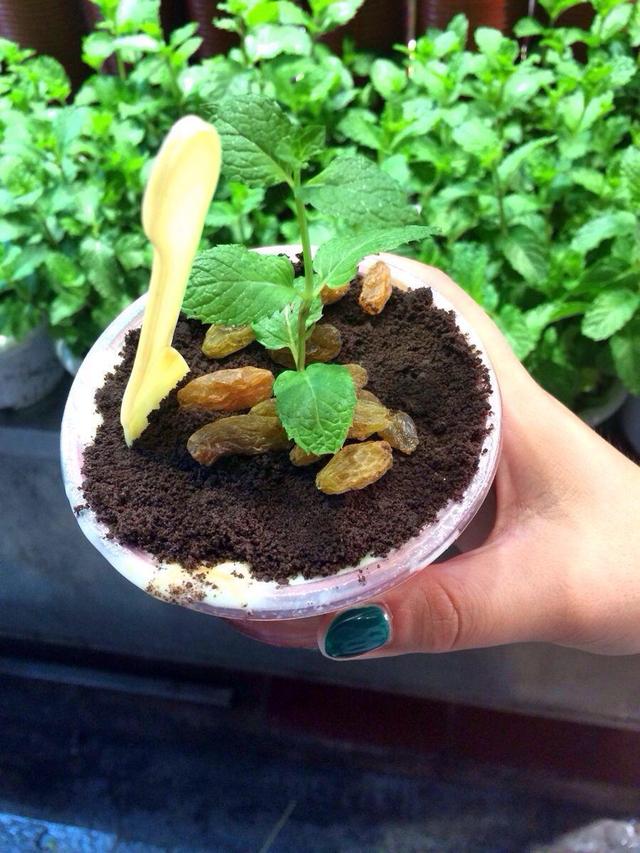 「」这2种花土养啥花都不行,加点养肥变成肥土,才能养花